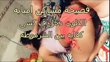 أم العاهرة من مساكن إمبابة تفضح نفسها بكلوت مفتوح ينتظر الدخول